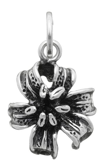 Charm Giovanni Raspini Donna Charmes in Argento 07761 - 07761